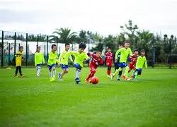 今年将严厉,打击八大网,络乱象,新葡京,新葡京app,新葡京娱乐,新普京赌场