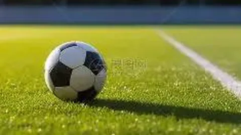 波多黎各公开赛威利普斯独占鳌头，熊瑾菘并列第五，袁也淳位列第五十四